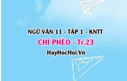 Soạn bài Chí Phèo trang 23 Ngữ văn lớp 11 Kết nối tri thức tập 1